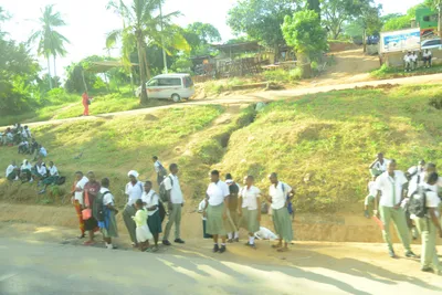 DSC_7711 (Large).JPG